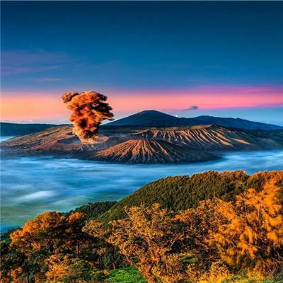 新添荣誉！莱姆电子荣获麦田能源...